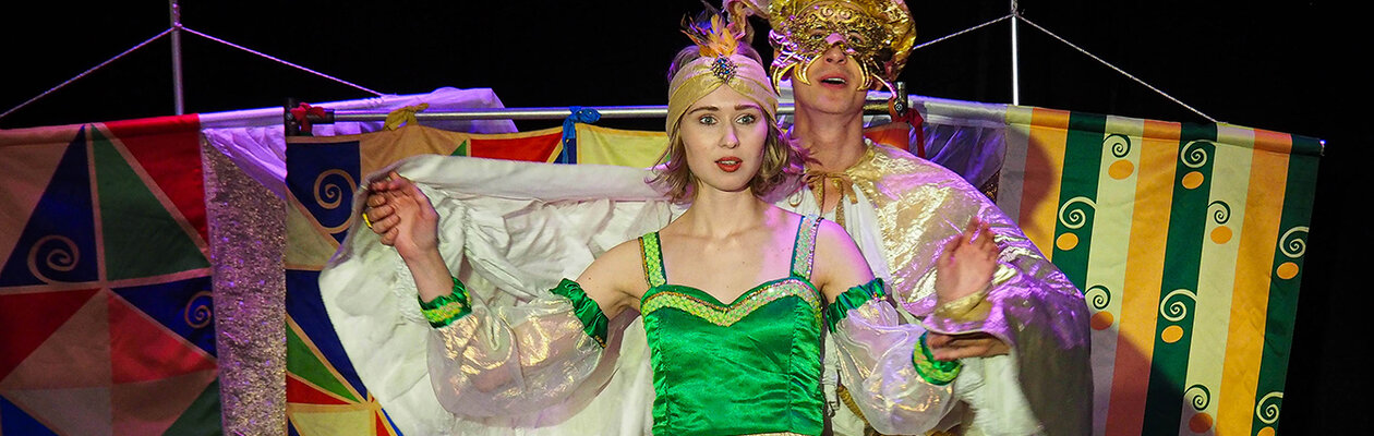 Принцесса и золотая птичка