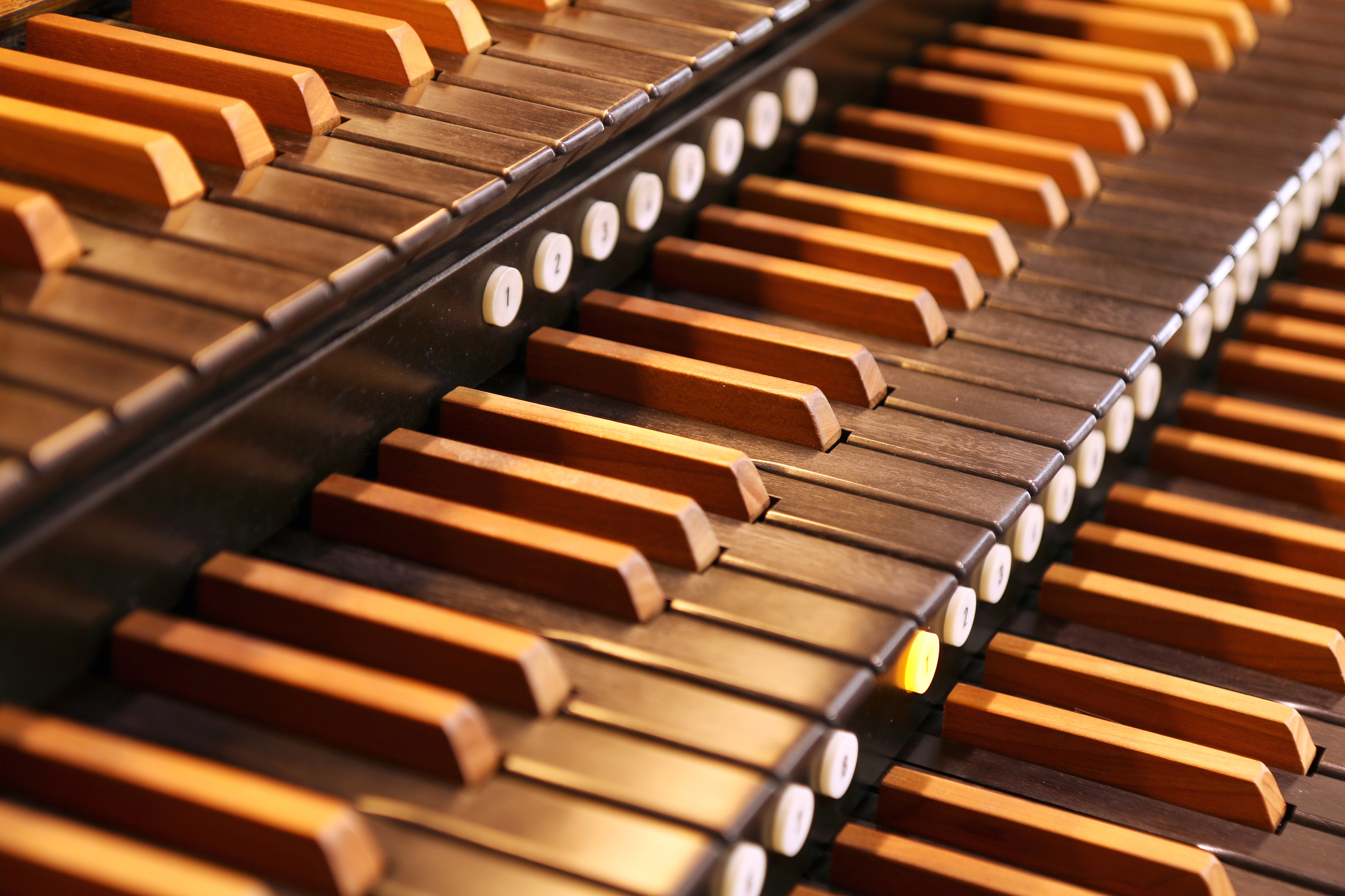 

Билеты на Органные путешествия в Люблино при свечах. Орган и скрипка. Зимние грёзы (Католическая церковь Cвятой Ольги)