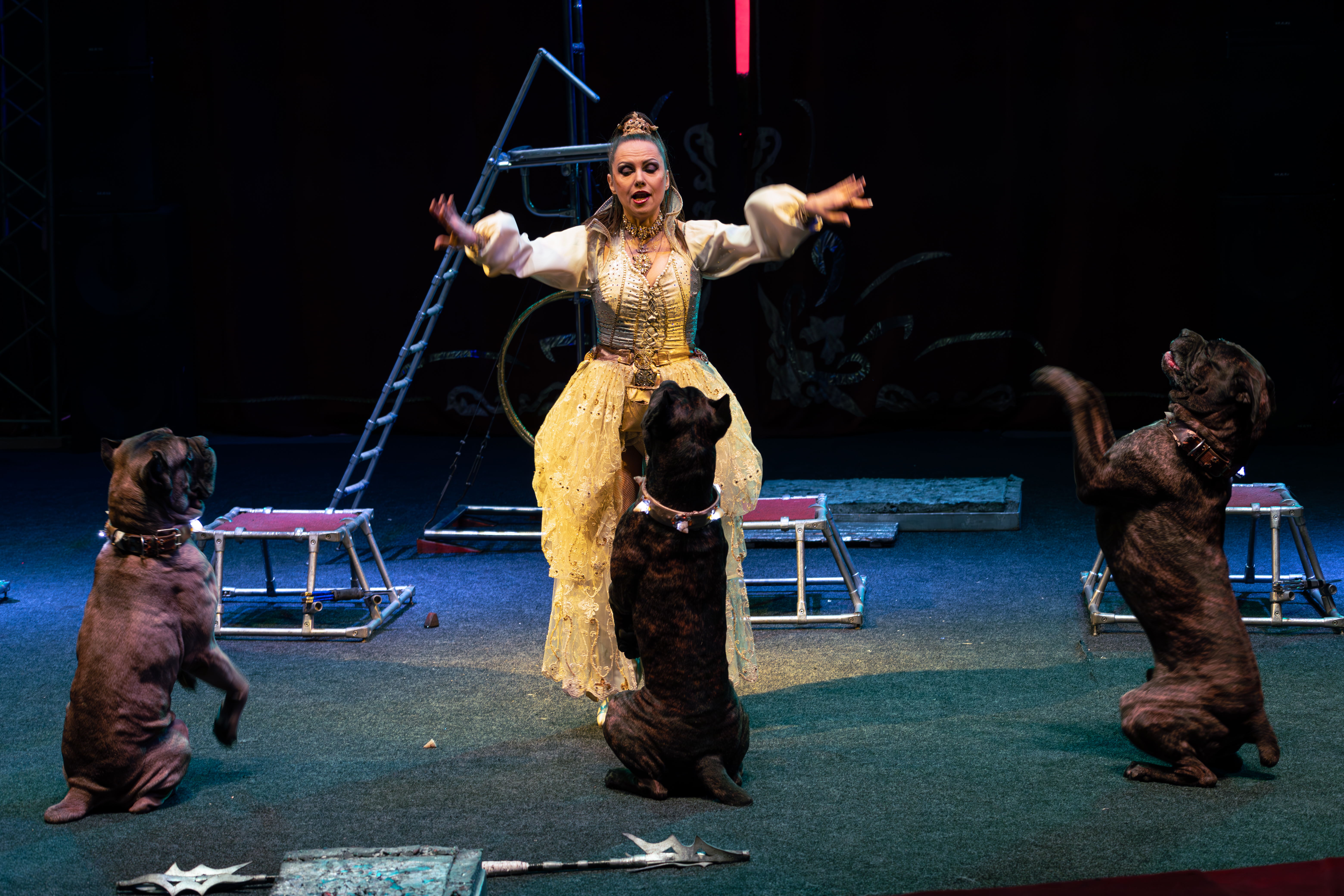 

Билеты на Цирковое авторское шоу «Актион» (Цирк-шапито «Актион»)