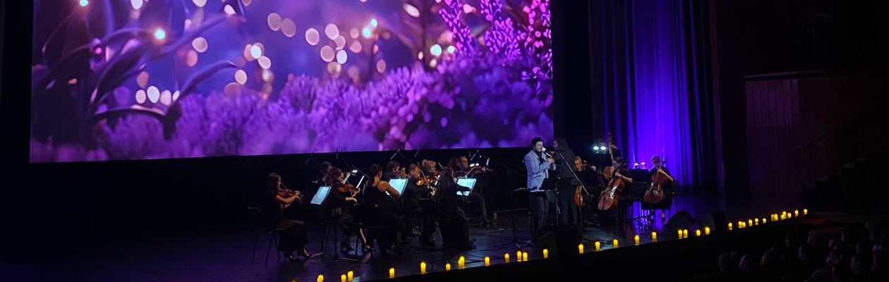 Дудук с оркестром