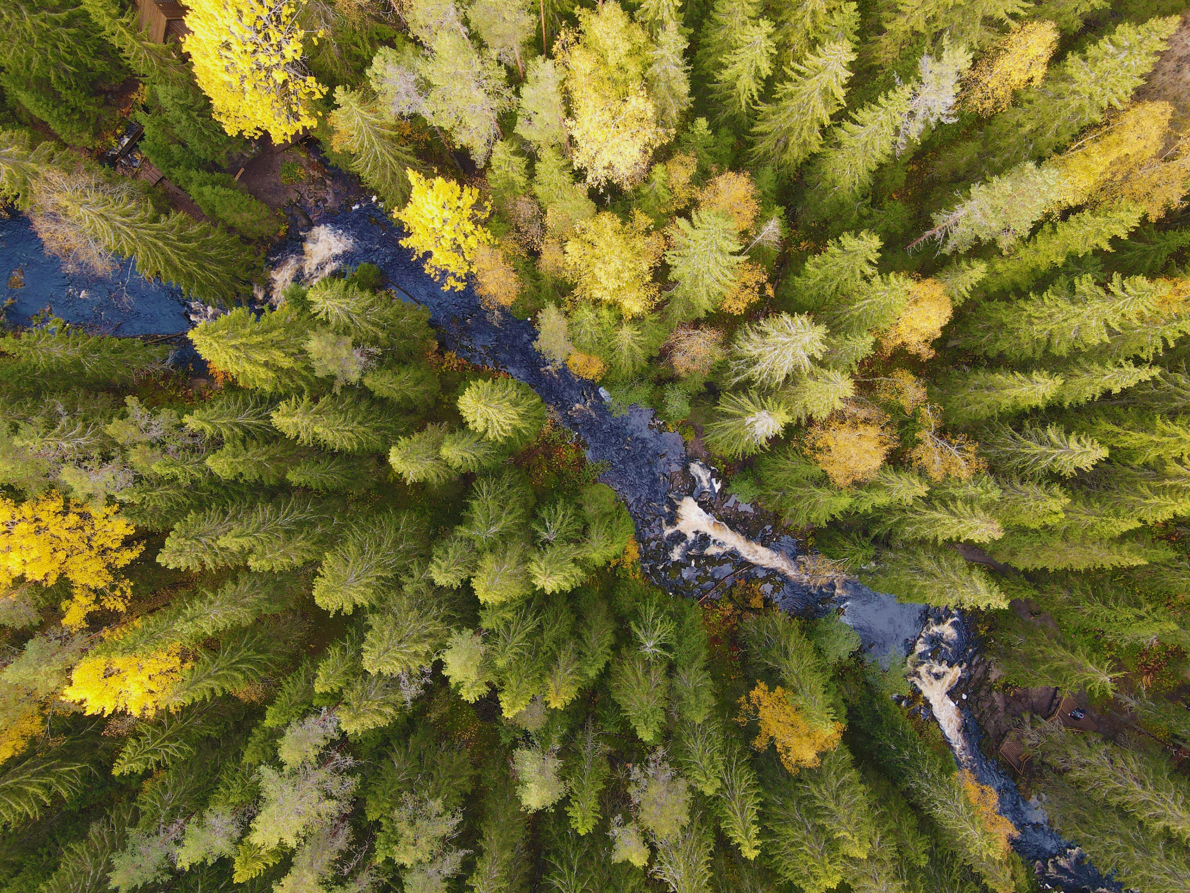 

Билеты на В Рускеалу на ретропоезде: Водопады и мраморный каньон (Казанский собор)