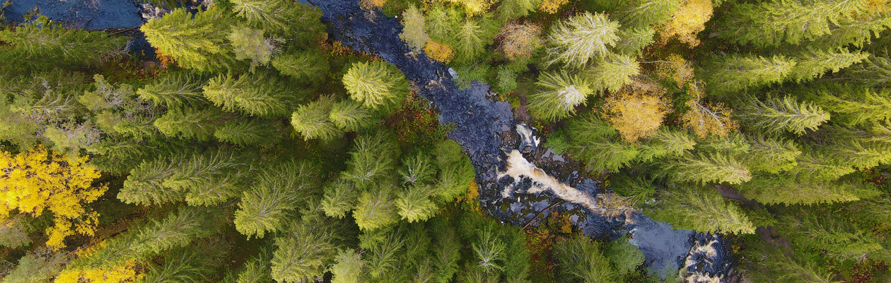 В Рускеалу на ретропоезде: Водопады и мраморный каньон