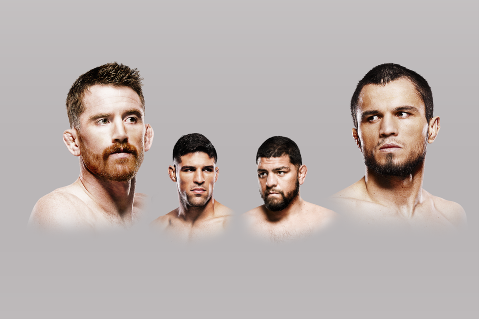 UFC Fight Night Абу-Даби