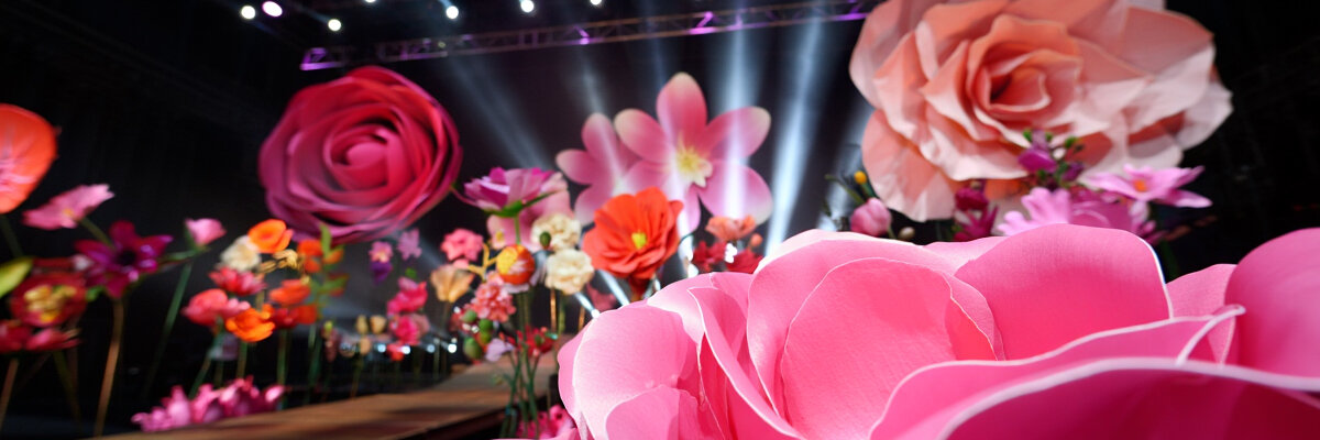 Музыка и цветы. Маленькая ночная серенада