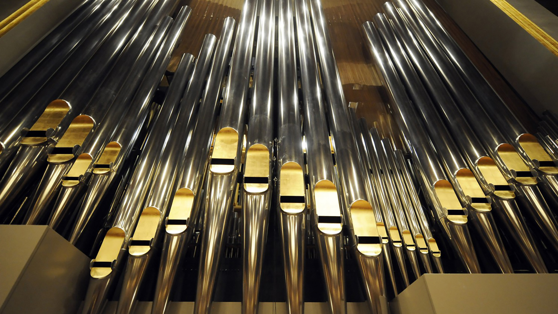 

Билеты на Органный вечер при свечах. От Баха до Ханса Циммера (Театральная хоромина)