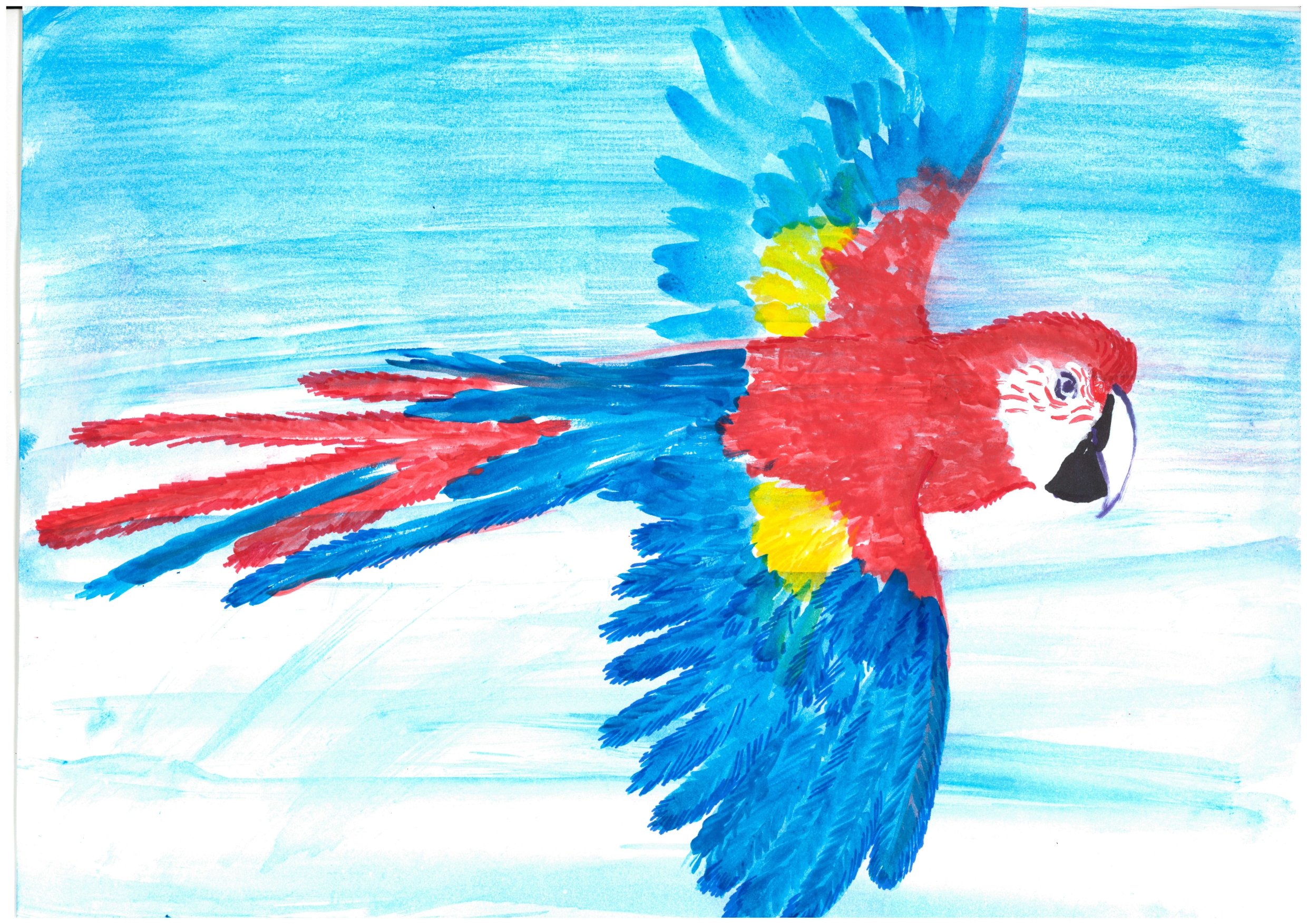 

Билеты на Рисуем животных (Детский центр «РОСИЗО»)