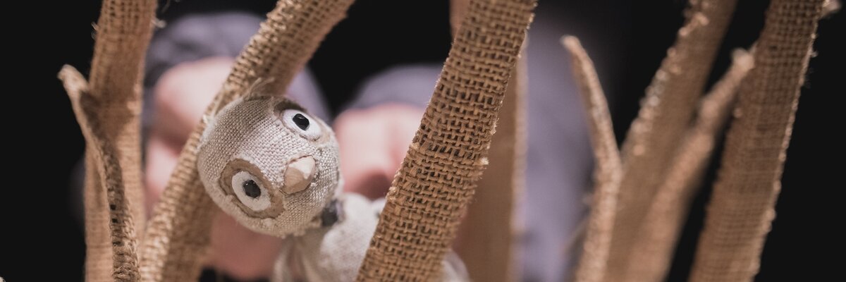 Жил-был Фип