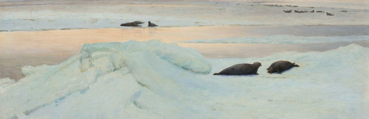 Арктика. Полюс цвета