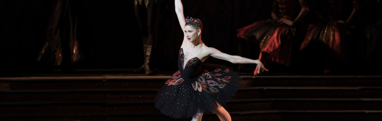 Лебединое озеро