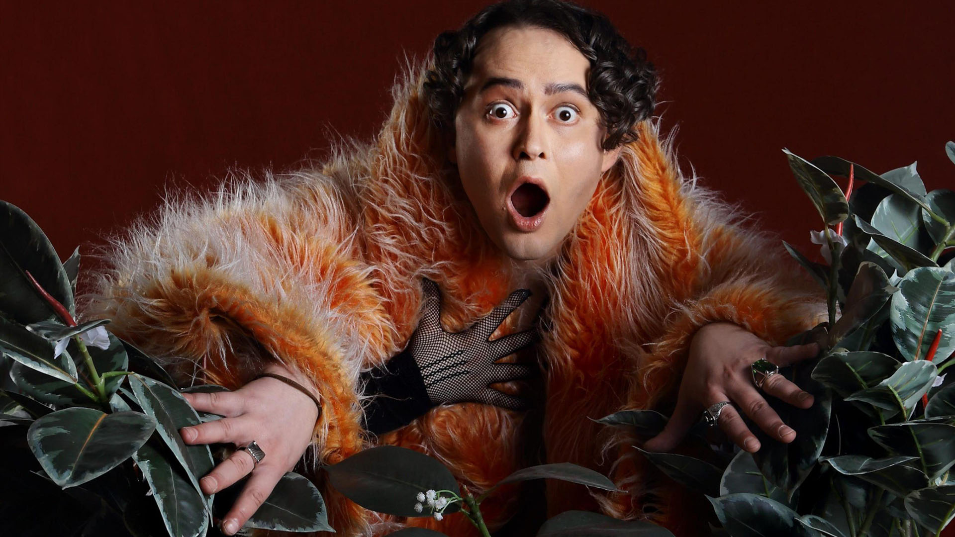 

Билеты на Любовник поневоле (Филармония им. Аренского)