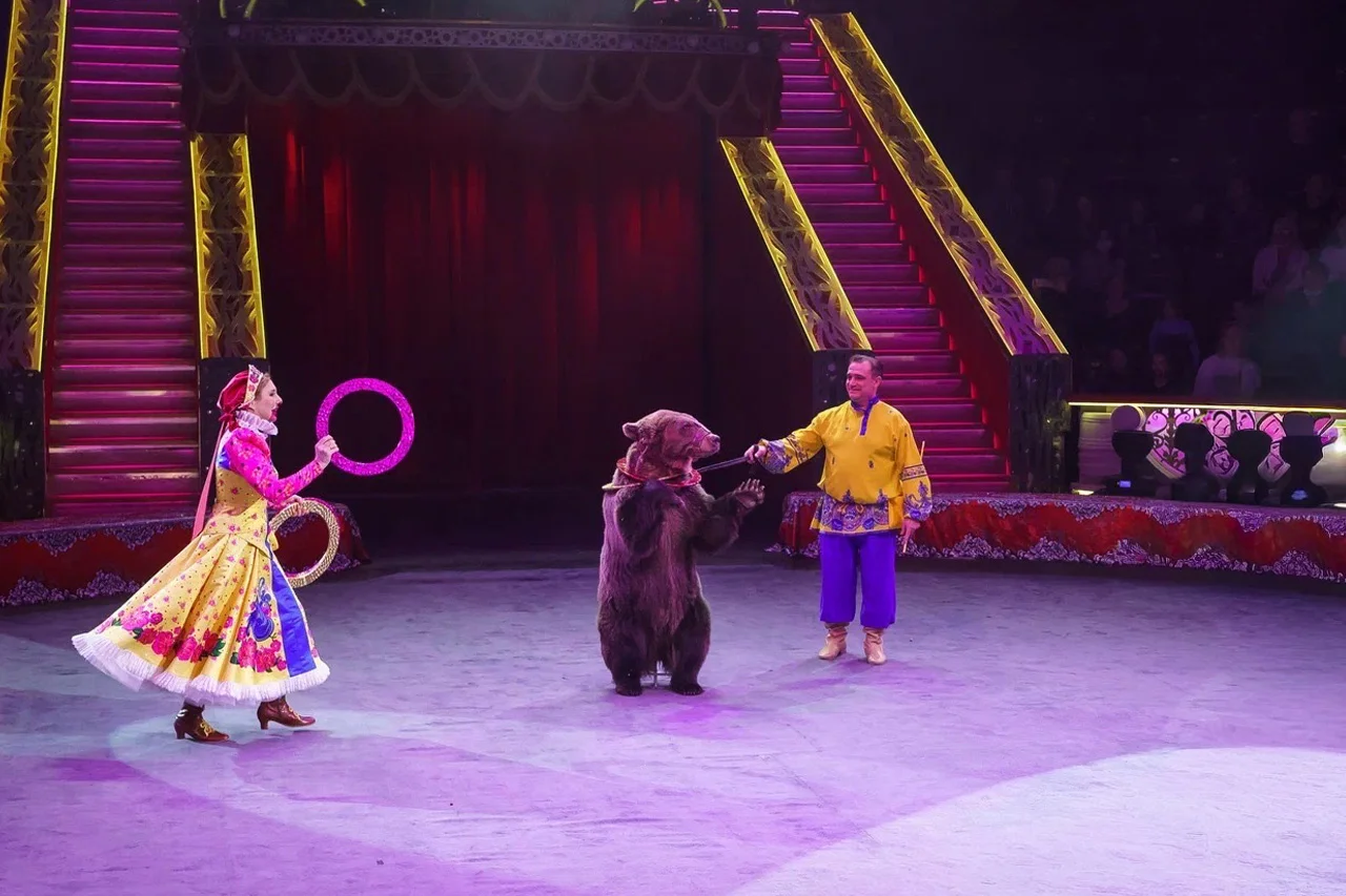 

Билеты на Медведи на кабриолете (Норд Экспо)