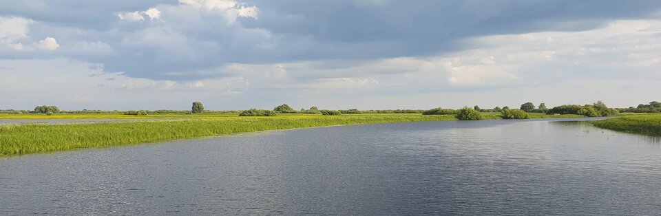 Обзорная экскурсия Новгород Великий