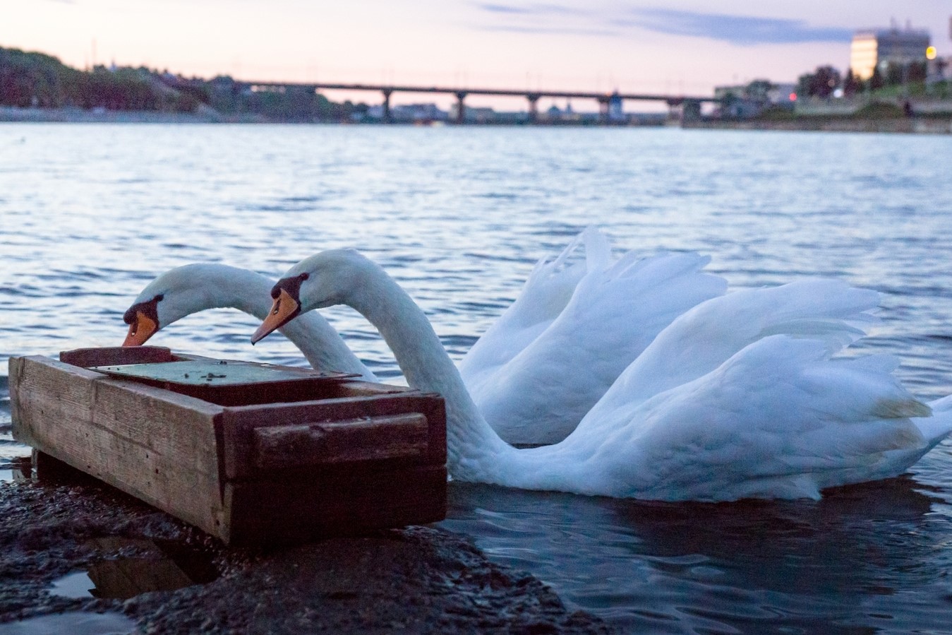 

Билеты на К столице чувашского народа: в Чебоксары из Казани (экскурсия в чебоксары «столица чувашского народа — шупашкар»)