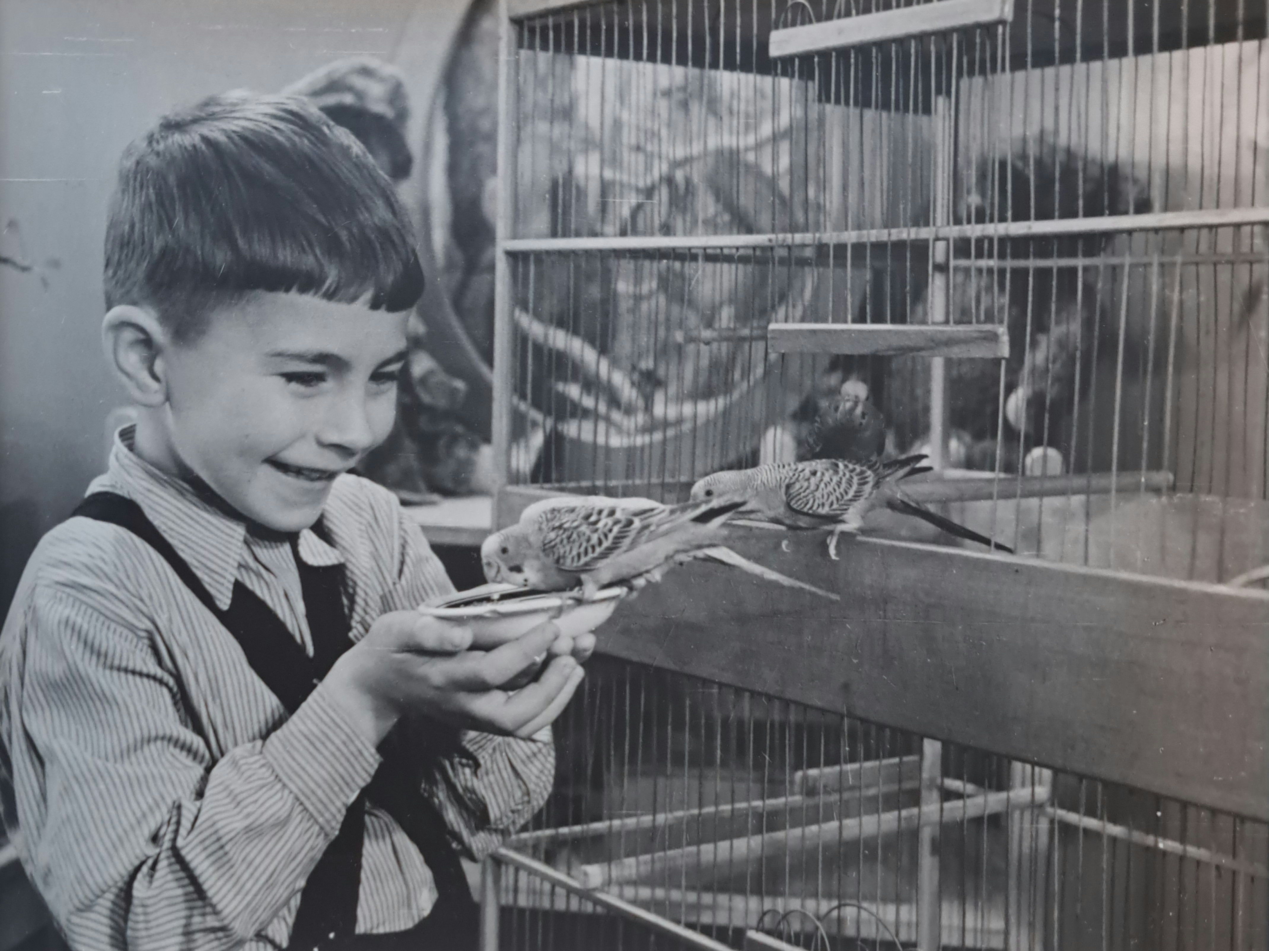 

Билеты на Иван Чечот. Дети и детское в истории искусства (Гельвеция)