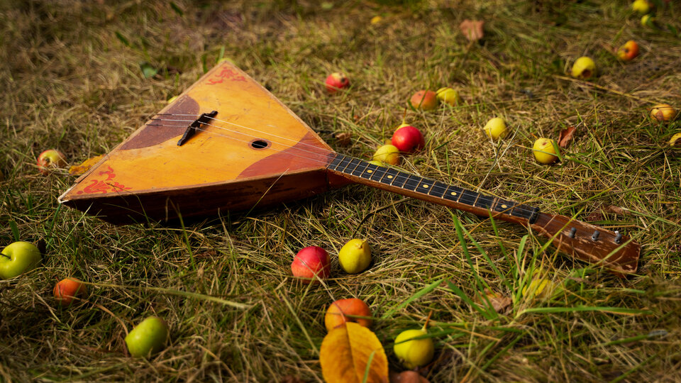 В гостях у Лисоньки