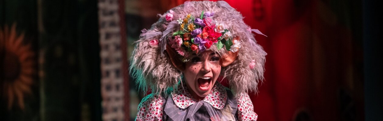 Большие приключения маленькой Бабы-яги