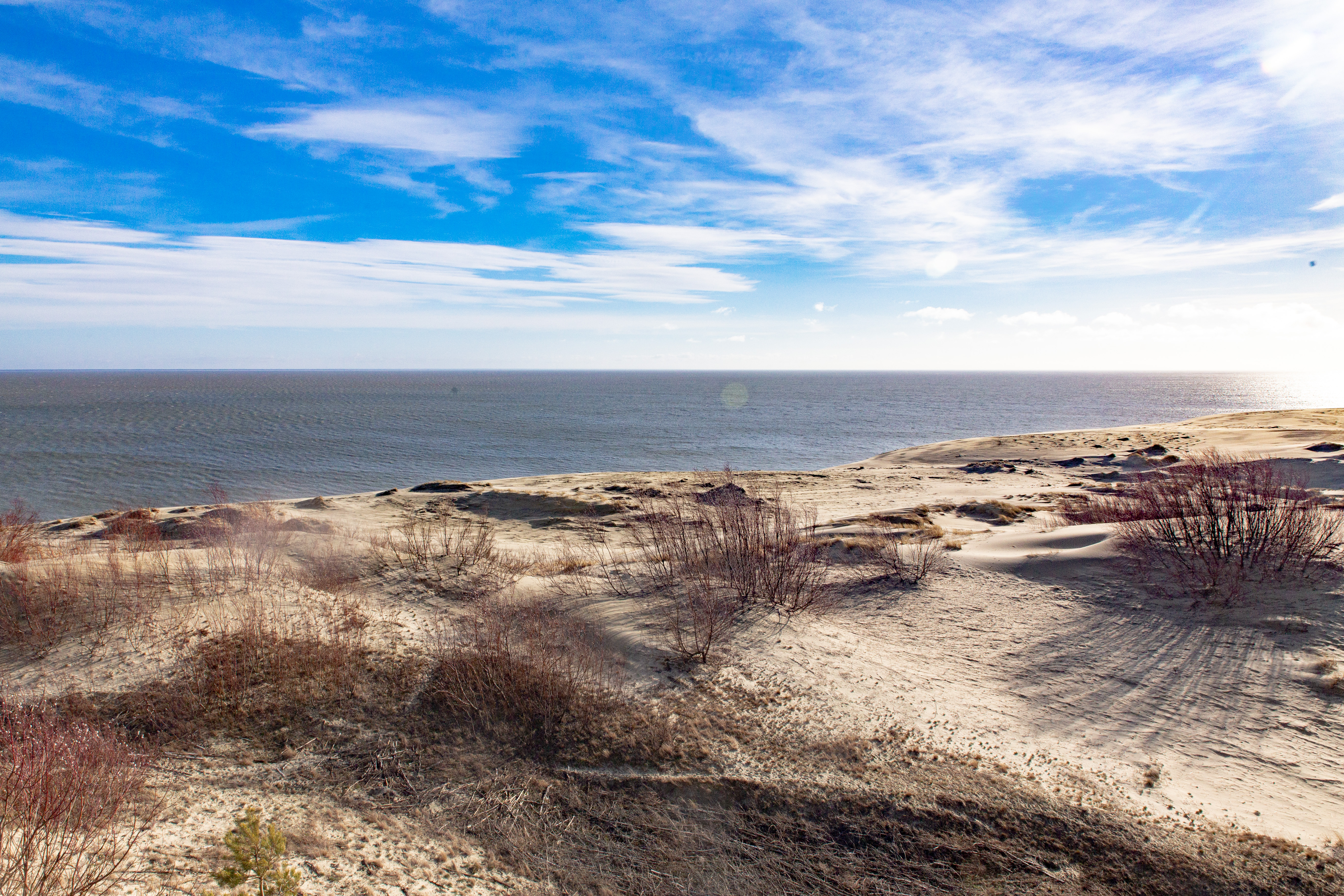 

Билеты на Куршская коса, Танцующий лес, высота Эфа (Экскурсия «Куршская коса»: Танцующий лес, Высота Эфа (дюна))