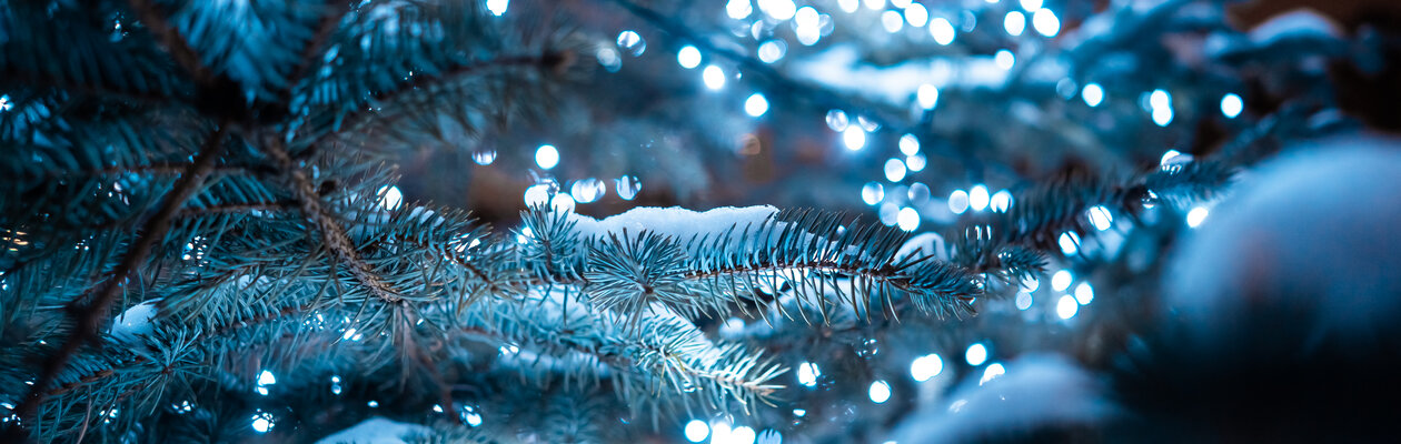 Двенадцать месяцев