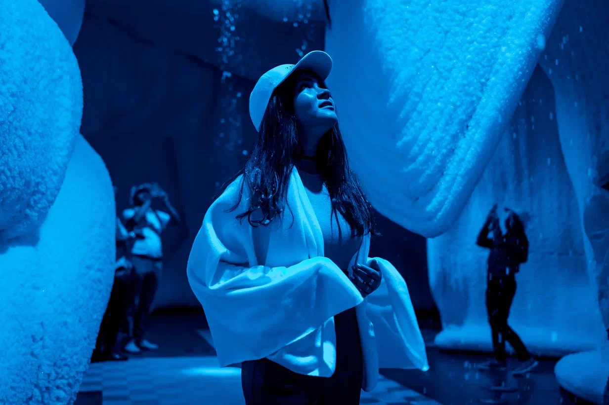 

Билеты на Иммер*снежное представление «Вьюжн» (Зарядье)