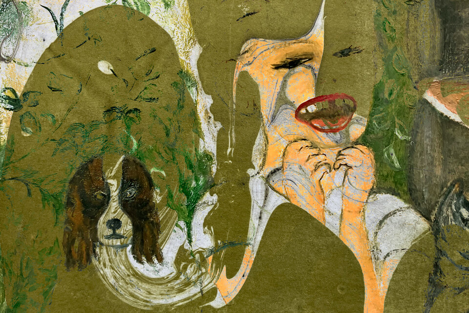 Порез на собаке