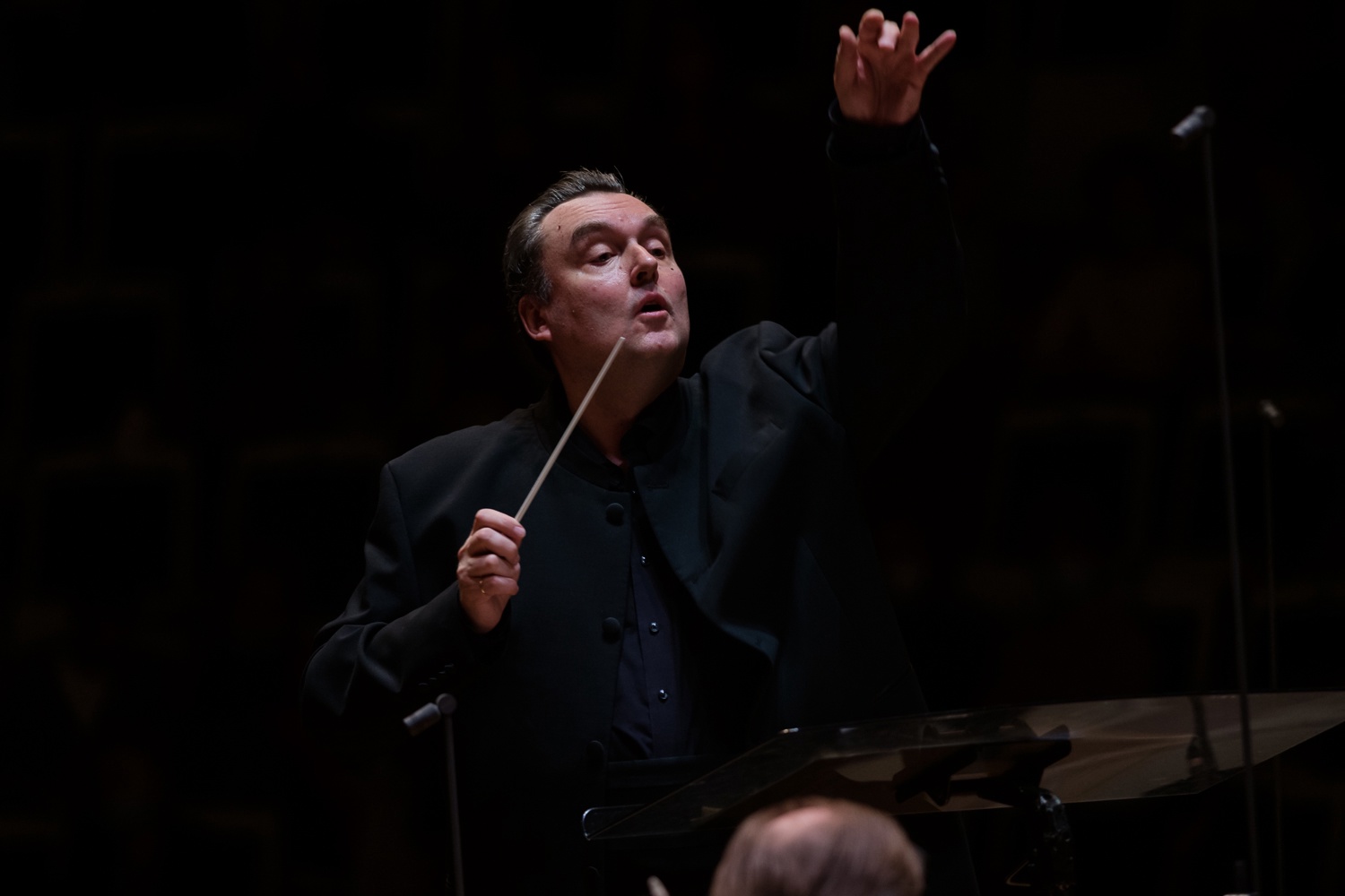 

Билеты на Шехеразада. Половецкие пляски (Дом музыки)