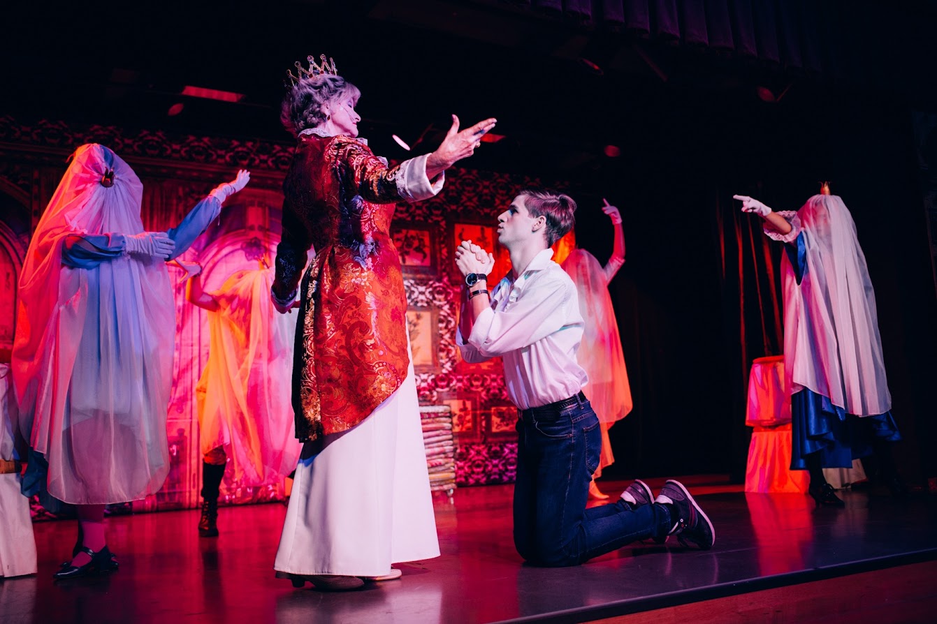 

Билеты на Принцесса без горошины (Дом молодёжи Василеостровского района)