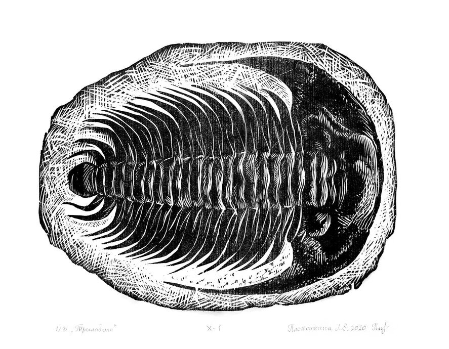 Формы времени. Скульптура графика