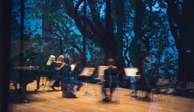 Simple Music Ensemble. Muse афиша