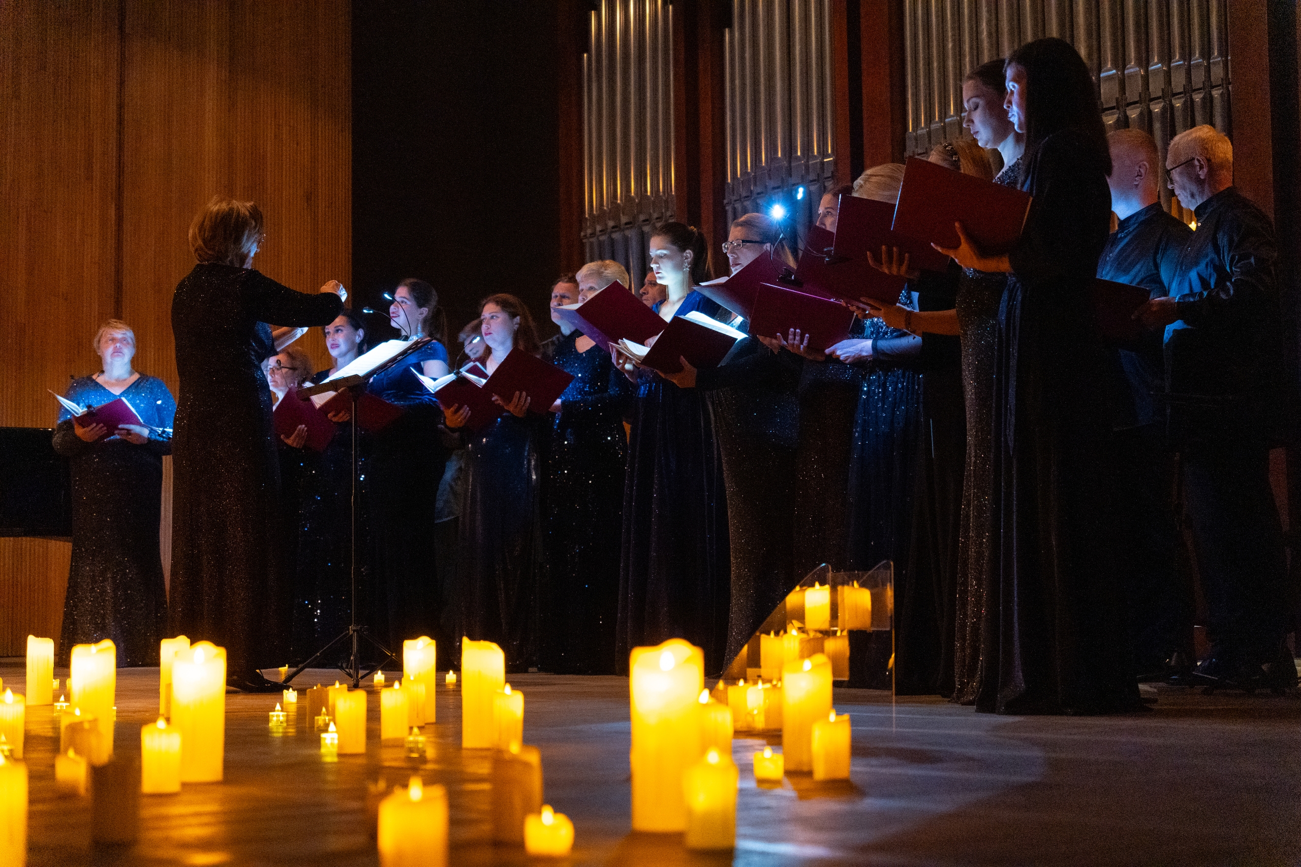 

Билеты на Аве Мария (Зал органной и камерной музыки им. Дебольской)