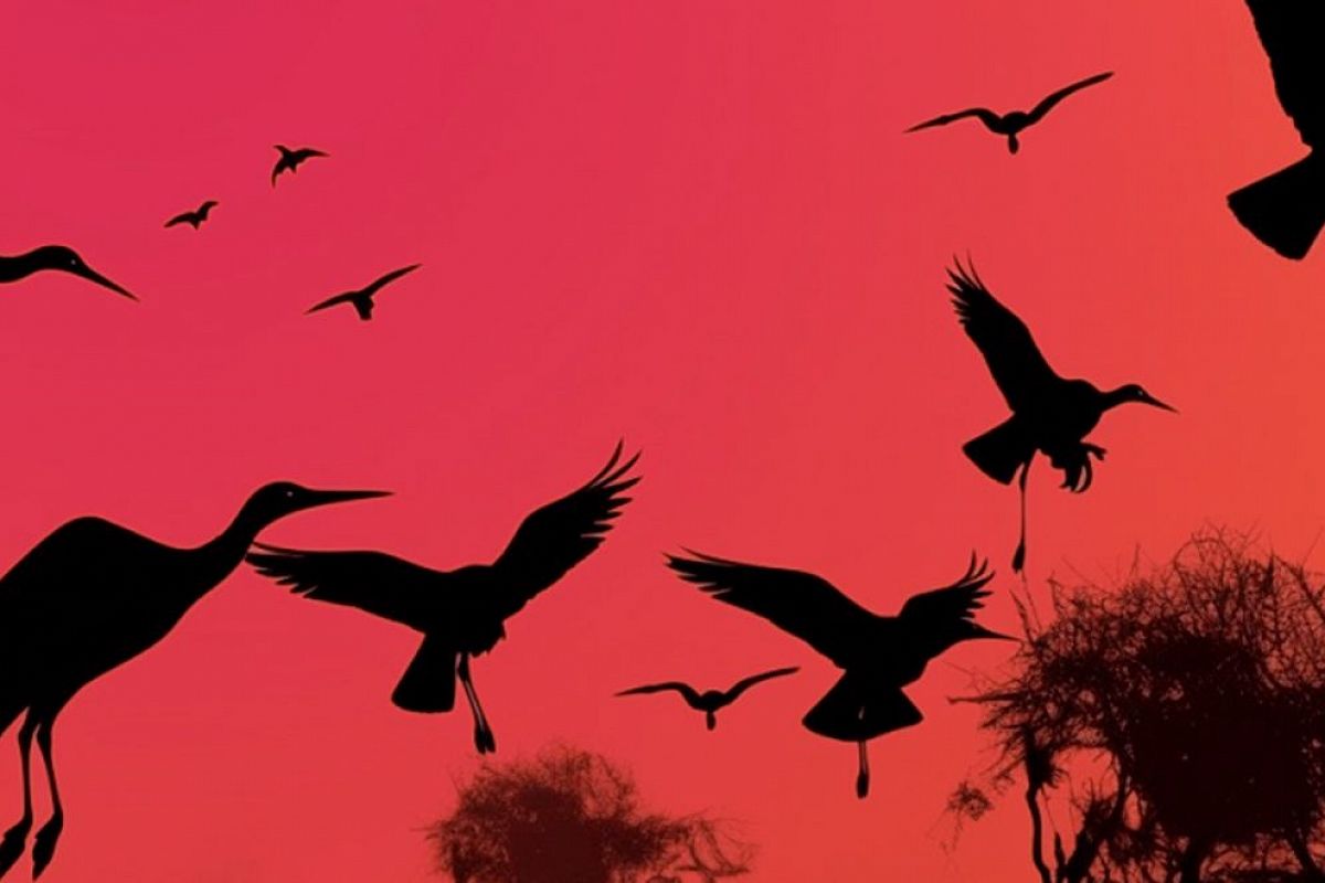 

Билеты на Симфонические хиты Феличита. Шедевры Челентано, Тото Кутуньо, Аль Бано, Поля Мориа, Стинга (Кафедральный собор Святых Петра и Павла)