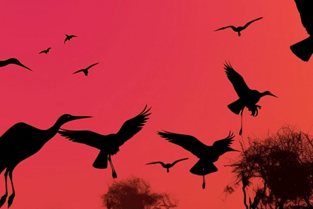 

Билеты на Шедевры Поля Мориа, Эннио Морриконе, Нино Рота, Вангелиса (Кафедральный собор Святых Петра и Павла)