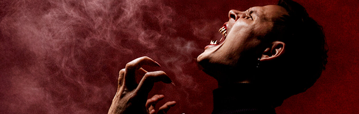 Теппо. Meet & Greet Plus