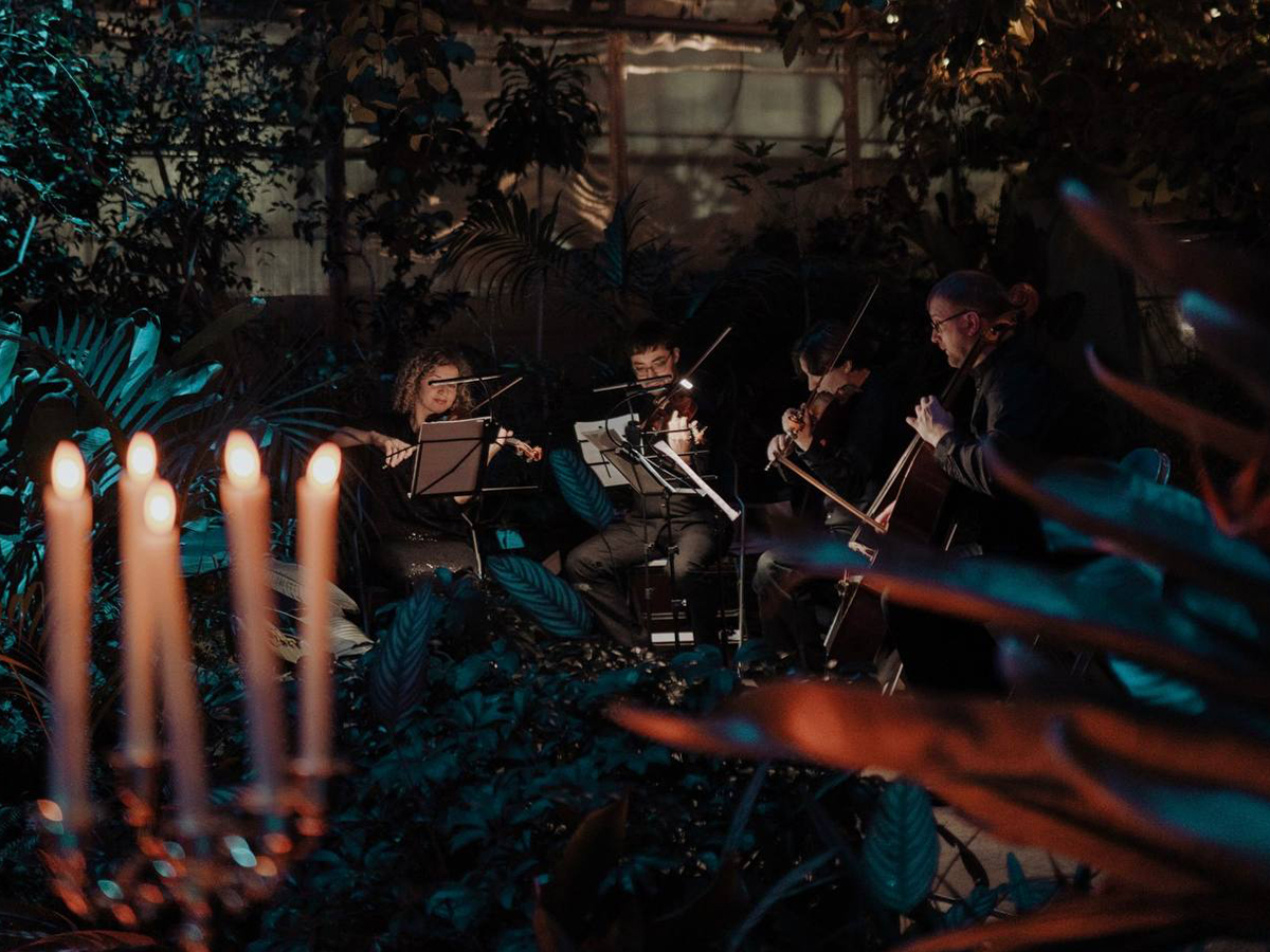 

Билеты на Магия свечей. От Вивальди до рок-хитов в оранжерее (Оранжерея Таврического сада)