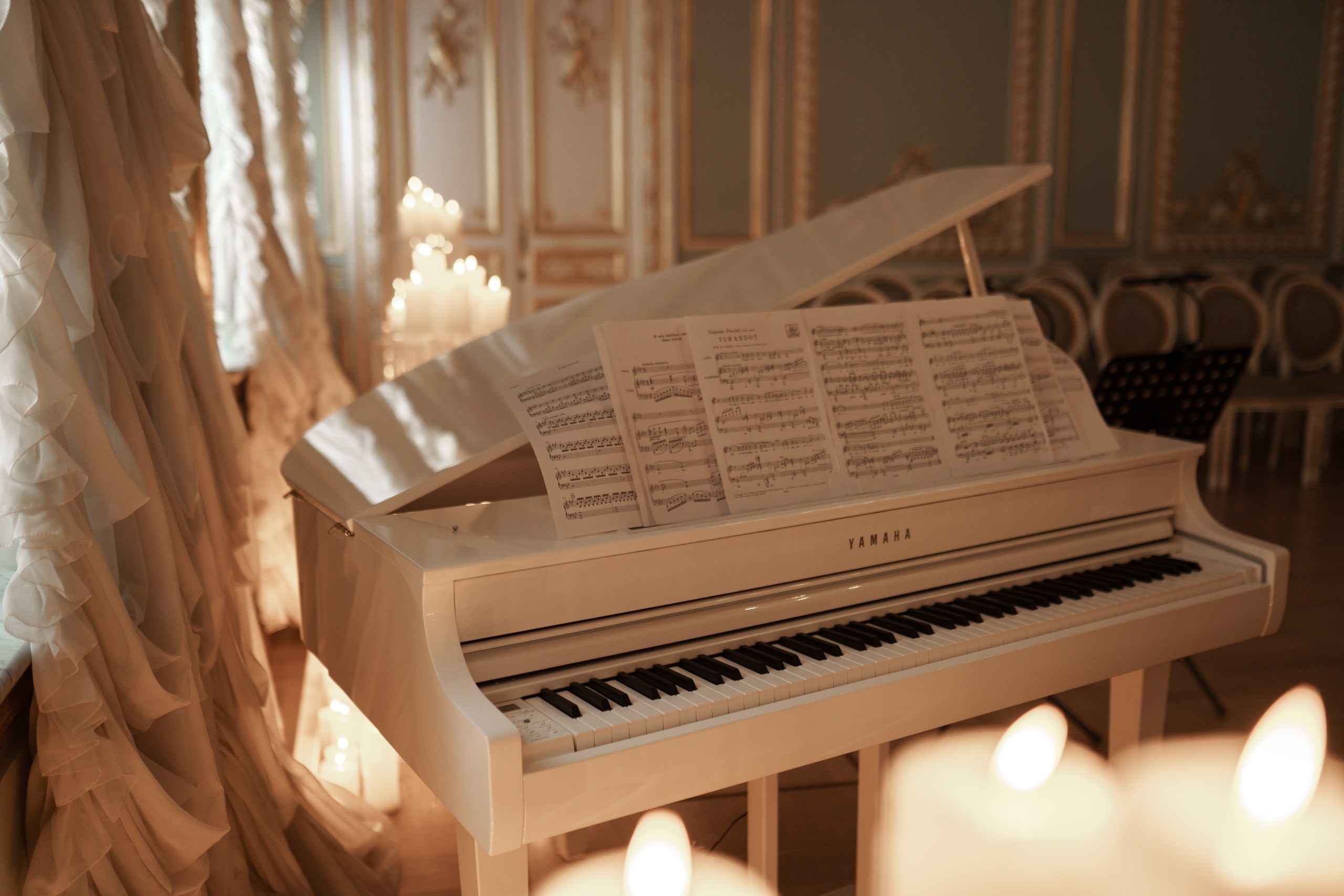 

Билеты на Магия свечей. Романтическая неоклассика в ночи (Особняк Серебрякова)