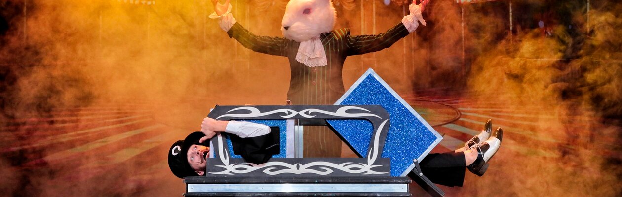 Шоу чемпионов магии