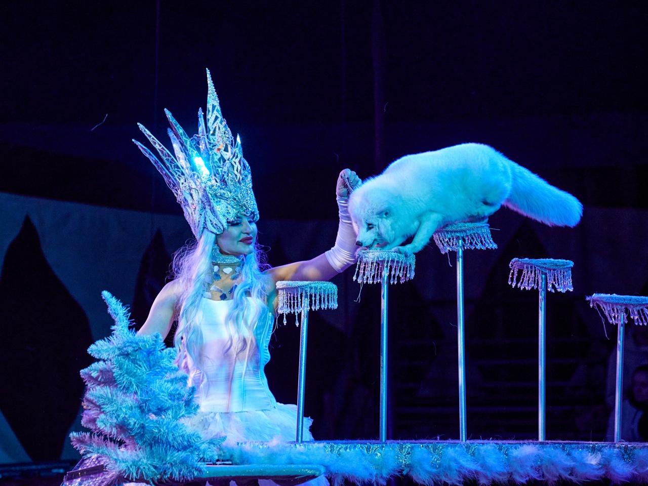 

Билеты на Цирк-шапито Circusland. Хищник и принцесса цирка (Цирк-шапито Circusland)