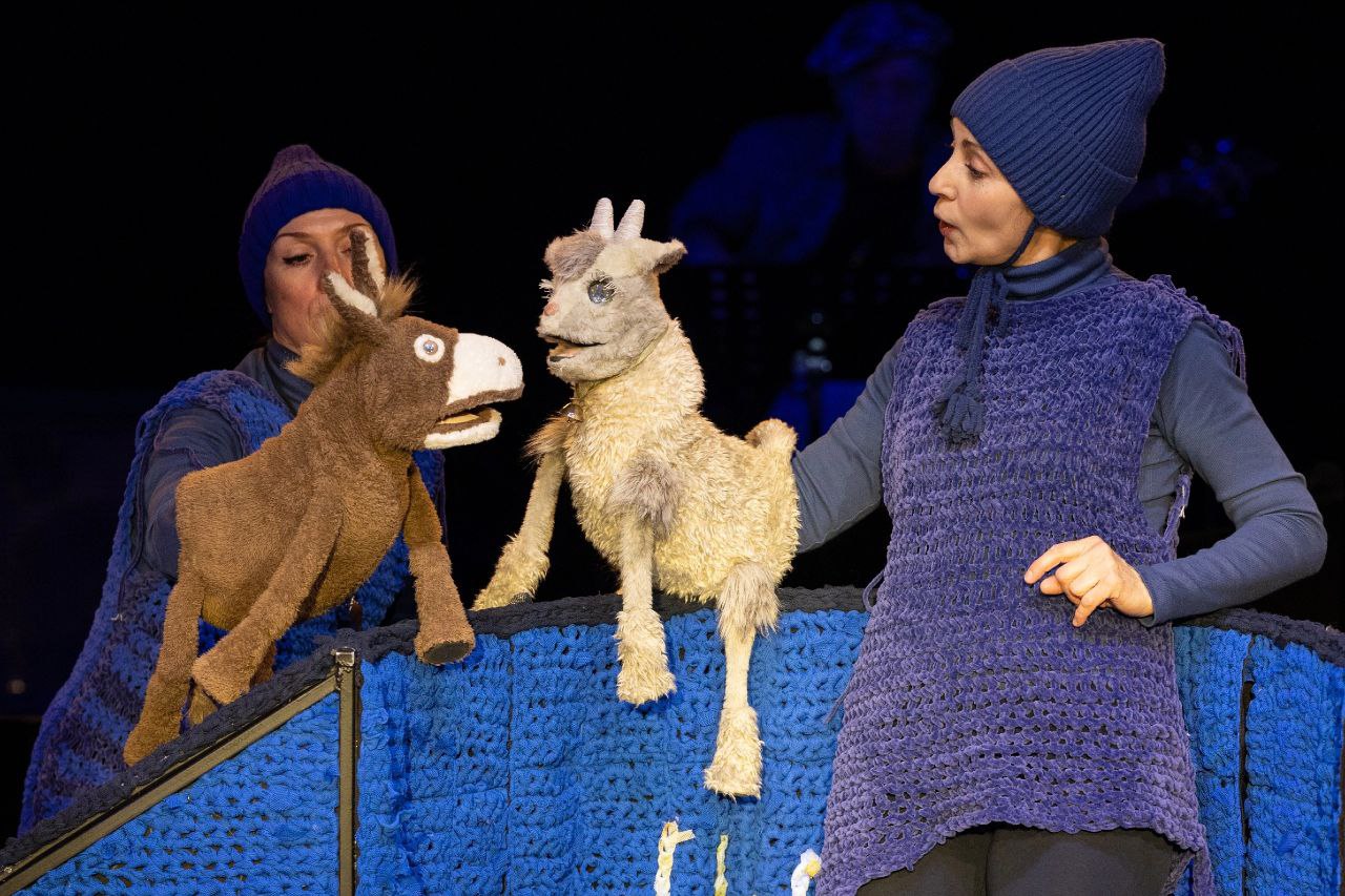 

Билеты на Жил-был на свете серенький козлик (Театр юного зрителя)