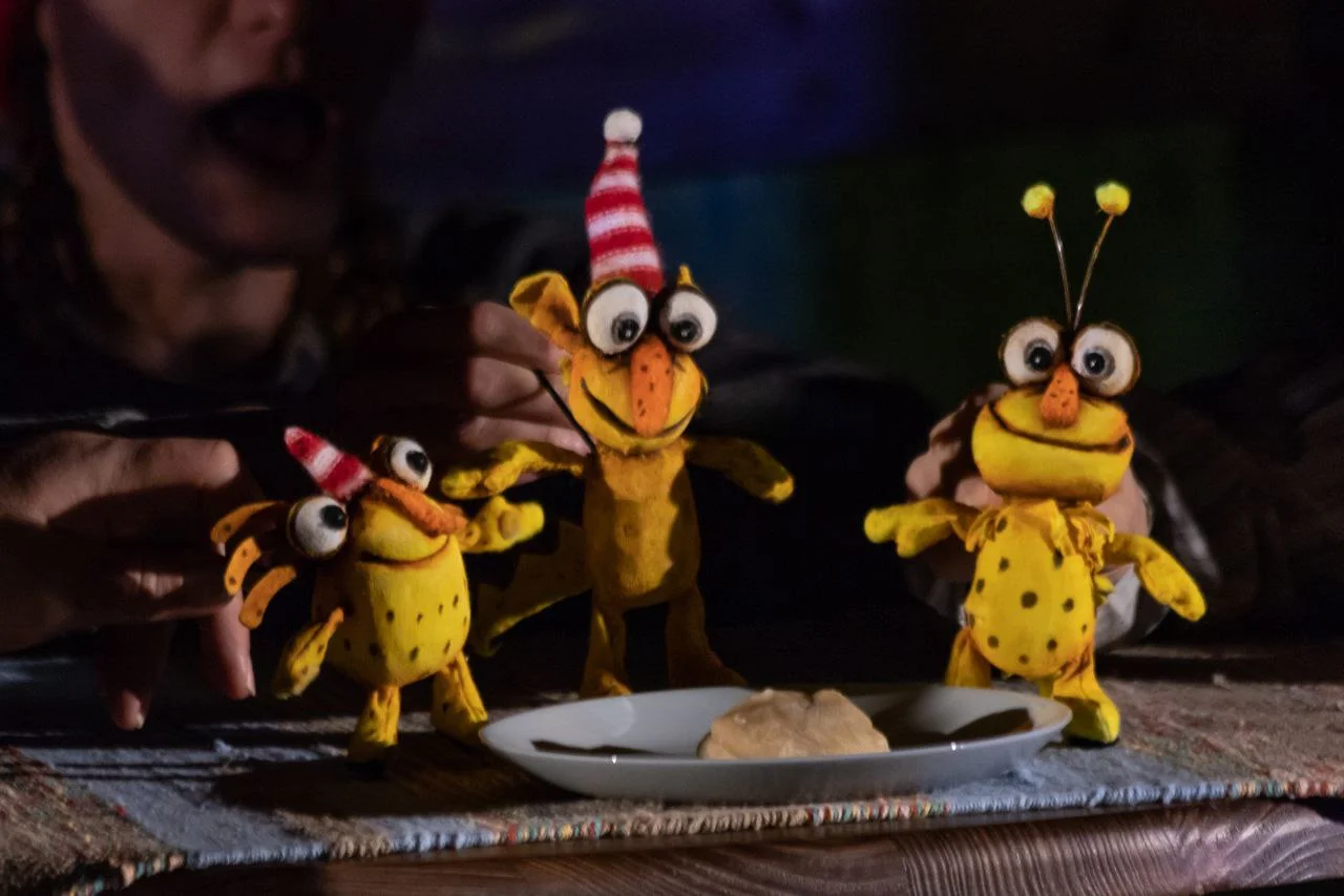 

Билеты на Как Финдус потерялся, когда был маленьким