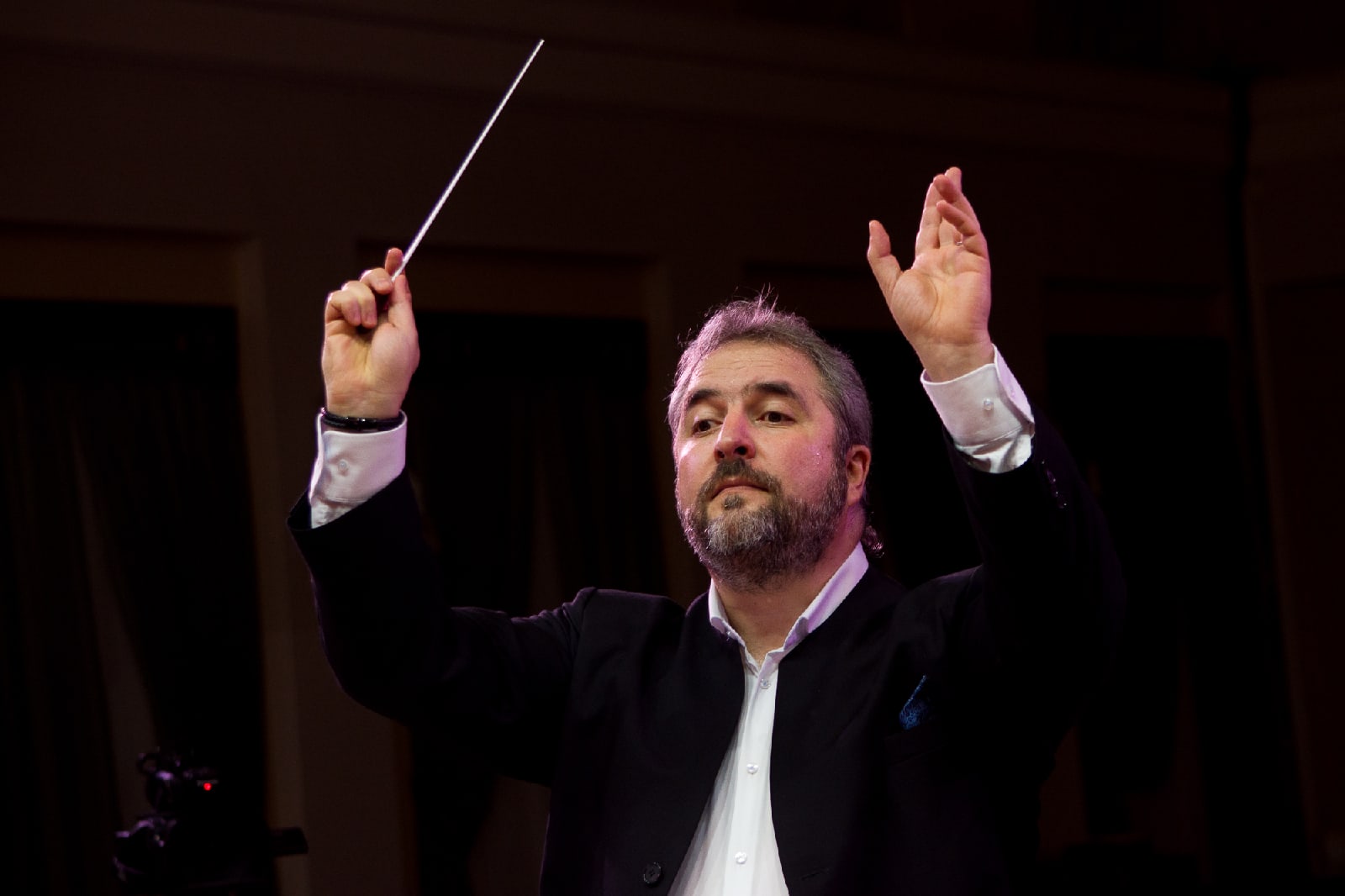 

Билеты на Не бойтесь, дамы, мы с Дубровским (Филармония)