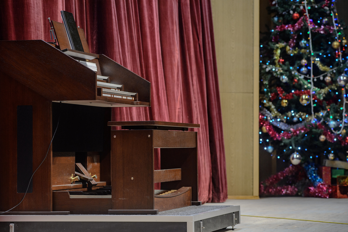 

Билеты на Рождественский органный концерт (Пигмент)