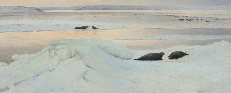 Арктика. Полюс цвета