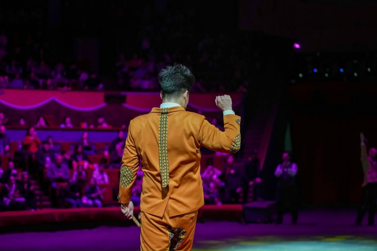 

Билеты на На грани экстрима (Цирк)