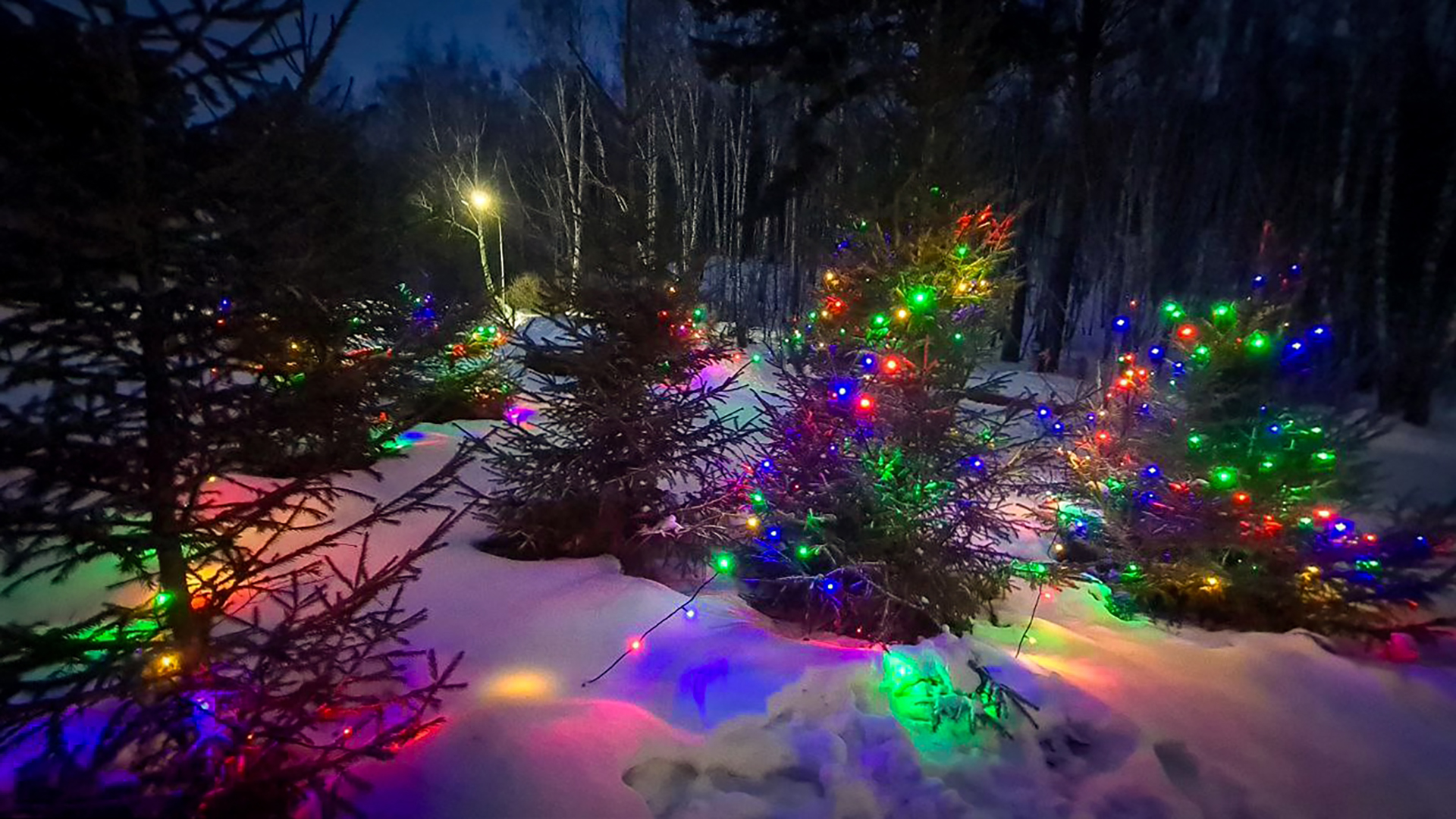 

Билеты на Ёлки-палки, Новый год! (Загородный лагерь «Огонёк»)