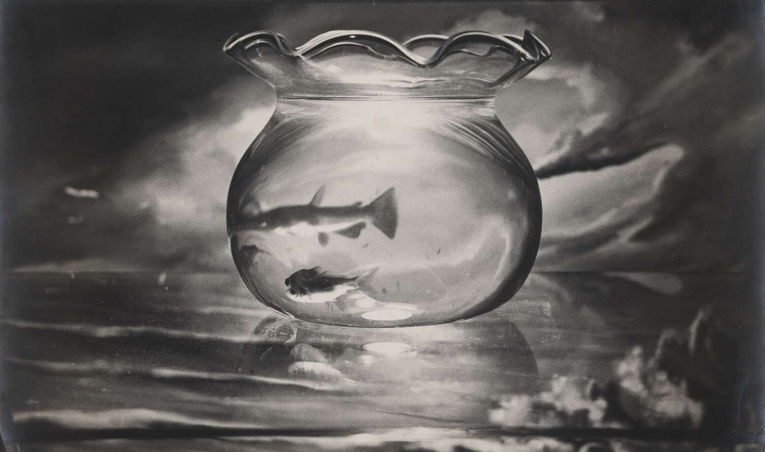 

Билеты на Европейская фотография 1950–60-х годов (Росфото)