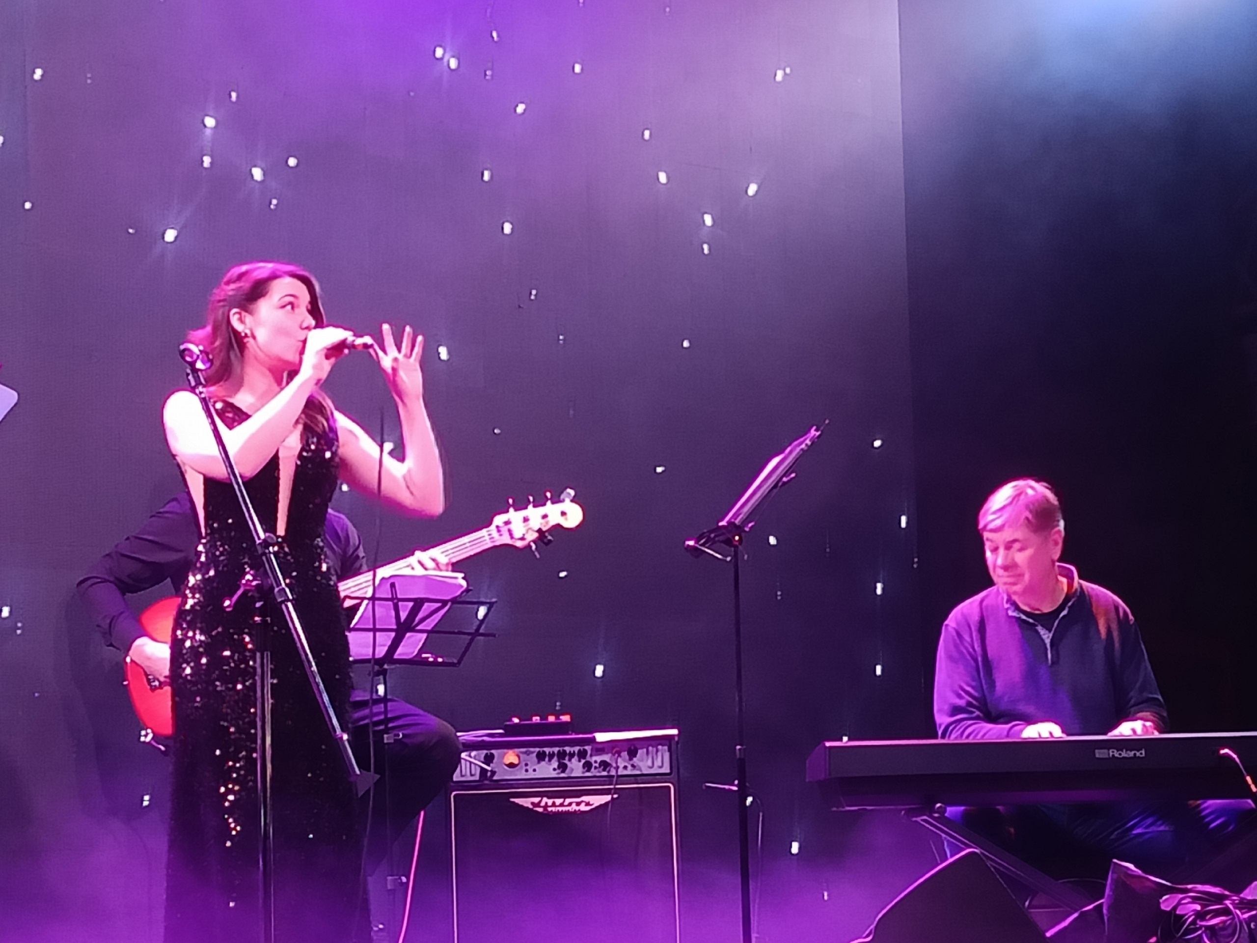 

Билеты на Букет весенних мелодий (Дом актёра им. Сергея Пускепалиса)