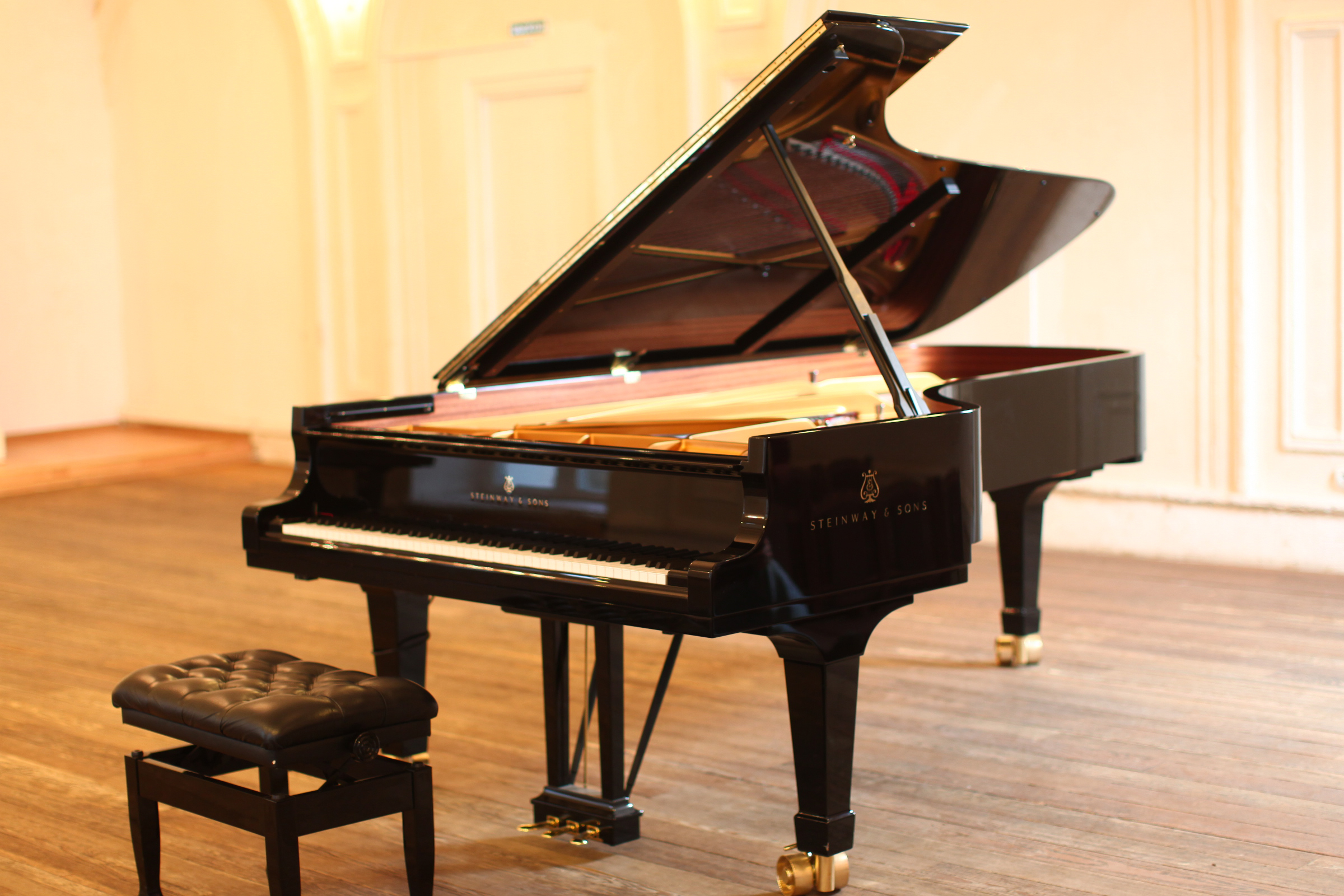 

Билеты на Юбилейный вернисаж (Консерватория им. Глинки)