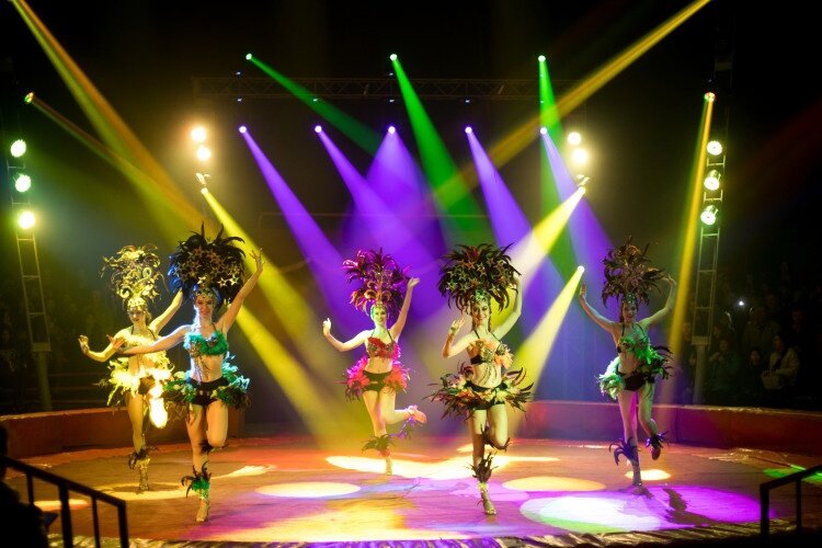 Цирк «Крокус»