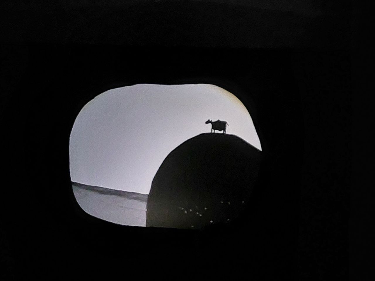 Афиша: Ёжик-ёжик в Челябинске 18 апреля 2026