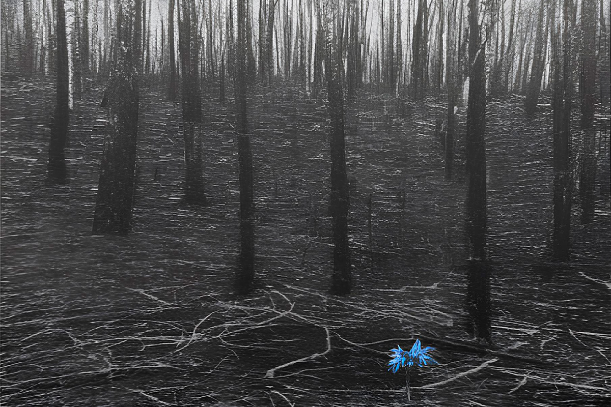 

Билеты на Где цветы... (Драматический театр им. Пушкина)