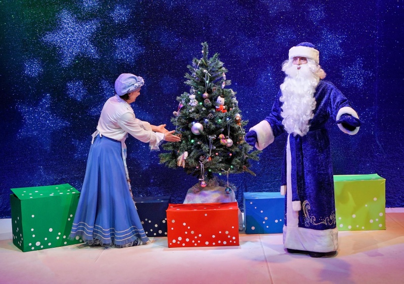 

Билеты на Новый год для малышей (Театр им. Ермолаевой)